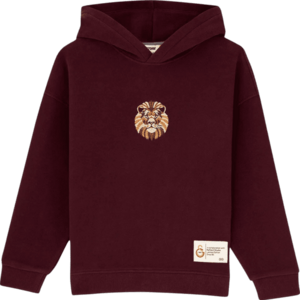 Kapucnis melegítő felsők Puma GSSTORE X Reflect Studio Lion Hoody Kids kép