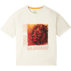 Rövid ujjú póló Puma Galatasaray Istanbul T-Shirt Kids kép