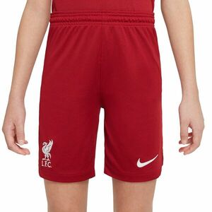 Rövidnadrág Nike LFC Y NK DF STAD SHORT HM 2022/23 kép