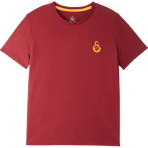 Rövid ujjú póló Puma Galatasaray Istanbul T-Shirt kép