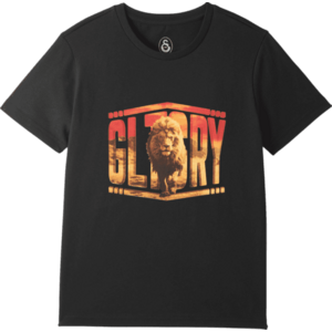 Rövid ujjú póló Puma Galatasaray Istanbul T-Shirt kép