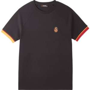 Rövid ujjú póló Puma Galatasaray Istanbul T-Shirt kép