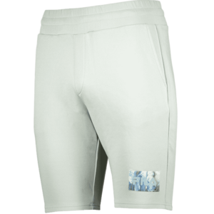 Rövidnadrág Fila FILA CLEMSON Regular shorts F60002 kép