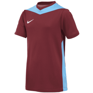 Póló Nike Y NK DF PRK DRB IV JSY SS kép