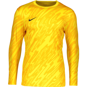 Hosszú ujjú póló Nike M NK DF GARDIEN V GK JSY LS kép