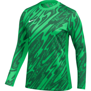 Hosszú ujjú póló Nike Gardien V Goalkeeper Jersey Women kép