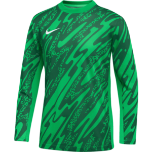 Hosszú ujjú póló Nike Y NK DF GARDIEN V GK JSY LS kép