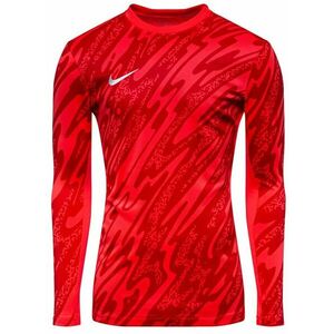 Hosszú ujjú póló Nike Y NK DF GARDIEN V GK JSY LS kép