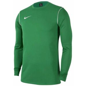 Hosszú ujjú póló Nike Y NK DF PARK20 CREW TOP R kép