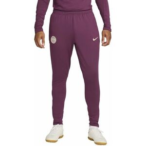 Nadrágok Nike PSG M NK DF STRK PANT KPZ kép