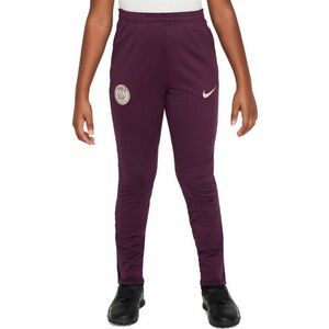 Nadrágok Nike PSG Y NK DF STRK PANT KPZ kép