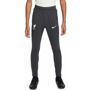 Nadrágok Nike LFC Y NK DF ACDPR PANT KPZ ESN kép