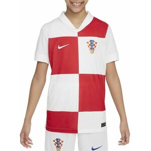 Póló Nike CRO Y NK DF STAD JSY SS HM 2024 kép