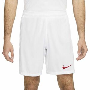Rövidnadrág Nike TUR M NK DF STAD SHORT HM 2024 kép