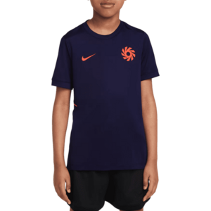 Rövid ujjú póló Nike Dri-FIT Erling Haaland Academy T-Shirt Kids kép