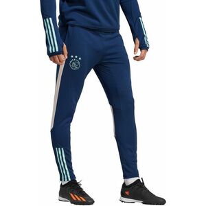 Nadrágok adidas AJAX TR PNT kép