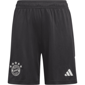 Rövidnadrág adidas FC Bayern München Goalkeeper Short 2023/24 Kids kép