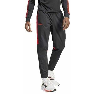 Nadrágok adidas PRE WOV PNT kép