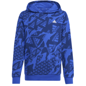 Kapucnis melegítő felsők adidas Hoody Kids kép