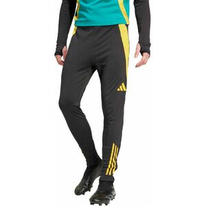 Nadrágok adidas JFF TR PNT kép