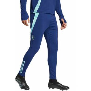 Nadrágok adidas AFC TR PNT kép