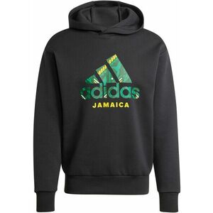 Kapucnis melegítő felsők adidas Sportswear JFF SZN DKHD kép