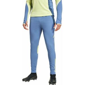 Nadrágok adidas AJAX TR PNT kép