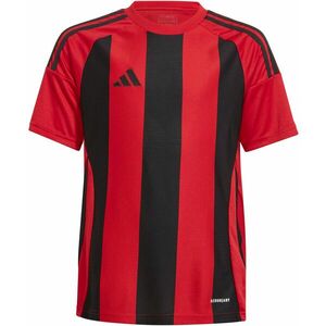 Póló adidas STRIPED 24 JSYY kép