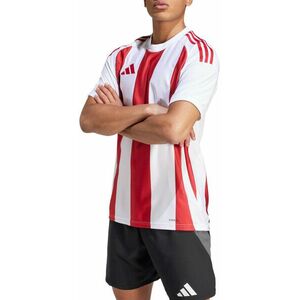 Póló adidas STRIPED 24 JSY kép