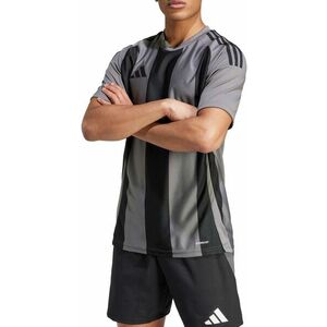 Póló adidas STRIPED 24 JSY kép