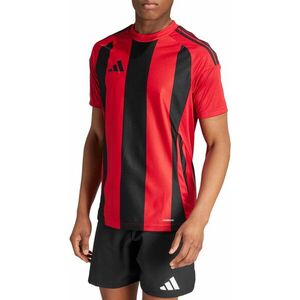 Póló adidas STRIPED 24 JSY kép