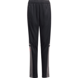 Nadrágok adidas SQUADRA25 TR PNT Y kép