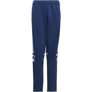 Nadrágok adidas SQUADRA25 TR PNT Y kép