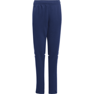 Nadrágok adidas SQ25 SW PNT Y kép