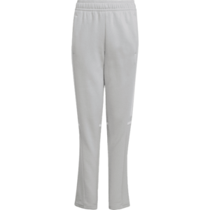 Nadrágok adidas SQ25 SW PNT Y kép