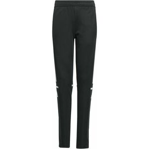 Nadrágok adidas SQUADRA25 TR PNT Y kép