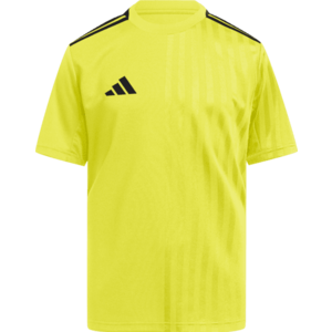 Póló adidas CAMPEON25 JSY Y kép