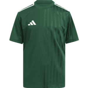 Póló adidas CAMPEON25 JSY Y kép