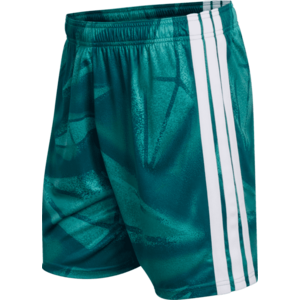 Rövidnadrág adidas Germany Home Goalkeeper 2026 kép