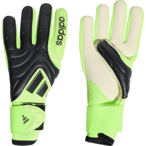 Kapuskesztyű adidas Copa Pro Goalkeeper Gloves kép