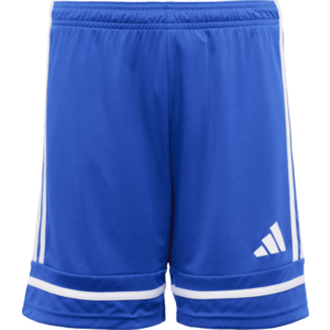 Rövidnadrág adidas SQUADRA25 SHO Y kép