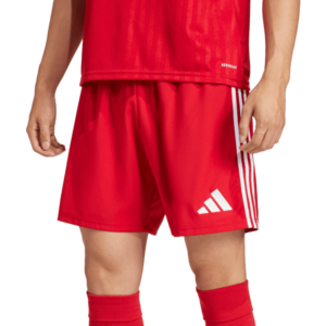 Rövidnadrág adidas TASTIGO25 SHO M kép