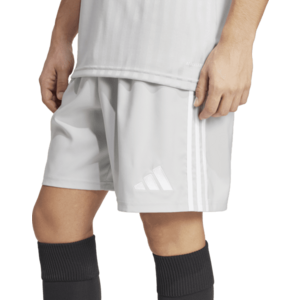 Rövidnadrág adidas TASTIGO25 SHO M kép