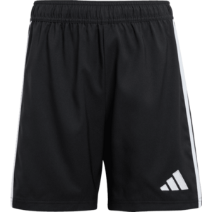 Rövidnadrág adidas TASTIGO25 SHO Y kép