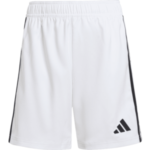 Rövidnadrág adidas TASTIGO25 SHO Y kép