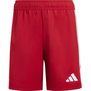 Rövidnadrág adidas TASTIGO25 SHO Y kép