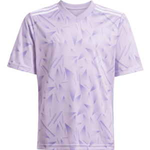 Póló adidas TEAM ICON25 JSY Y kép