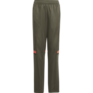 Nadrágok adidas SQUADRA25 TR PNT Y kép