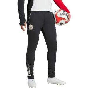 Nadrágok adidas AJAX TR PNT kép