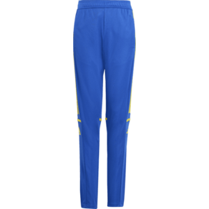 Nadrágok adidas SQUADRA25 TR PNT Y kép